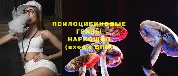 мдпв Билибино